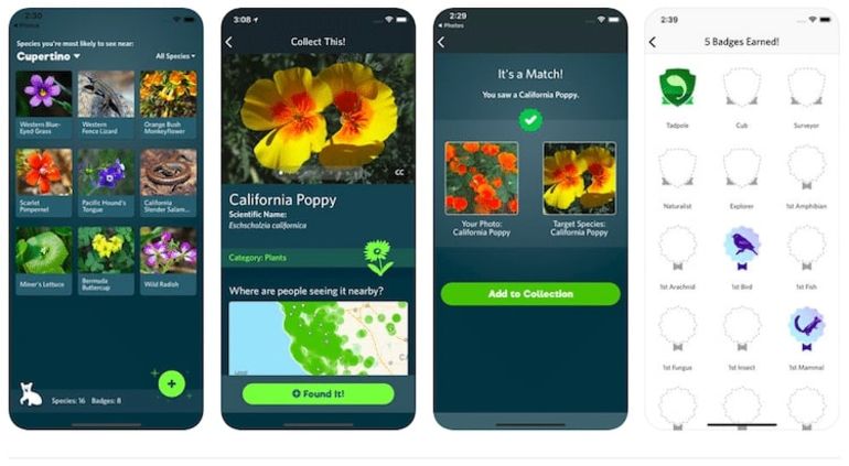 AppHeros - Android & iOS Apps