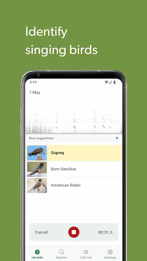 Merlin Bird ID by Cornell Lab Android App