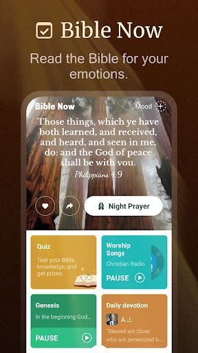 kjv bible app for android